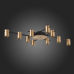 Потолочная люстра ST Luce SL1207.402.10