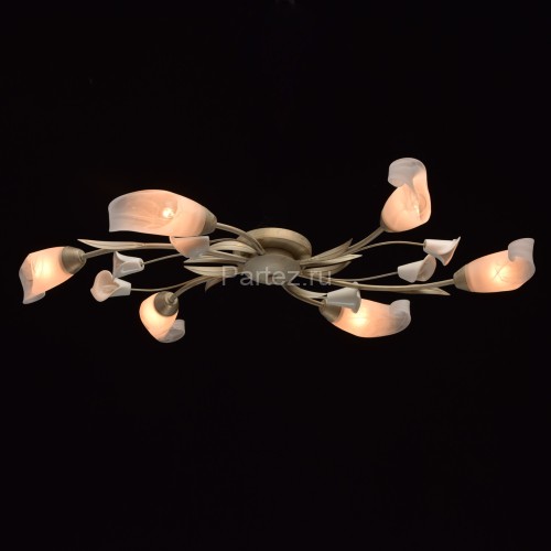 Потолочная люстра MW-Light 242016906