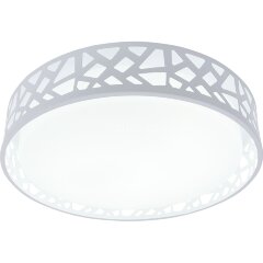 Потолочный светильник TopLight TL1205X-72WH