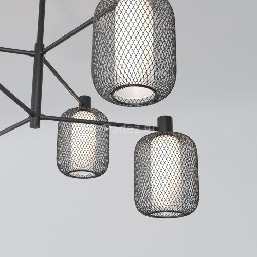 Потолочная люстра Eurosvet 30191/6 черный