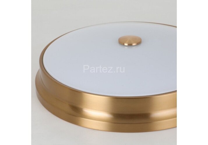 Потолочный светильник Favourite 2375-3C