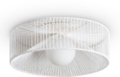 Потолочный светильник Freya FR5405CL-01W