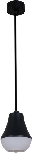 Подвесной светильник Reluce 16007-0.9-001IL E27 BK