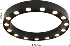 Потолочный светильник Favourite 3007-15U