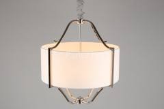 Подвесная люстра Aployt APL.727.06.06