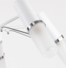 Потолочная люстра F-Promo 2559-5P