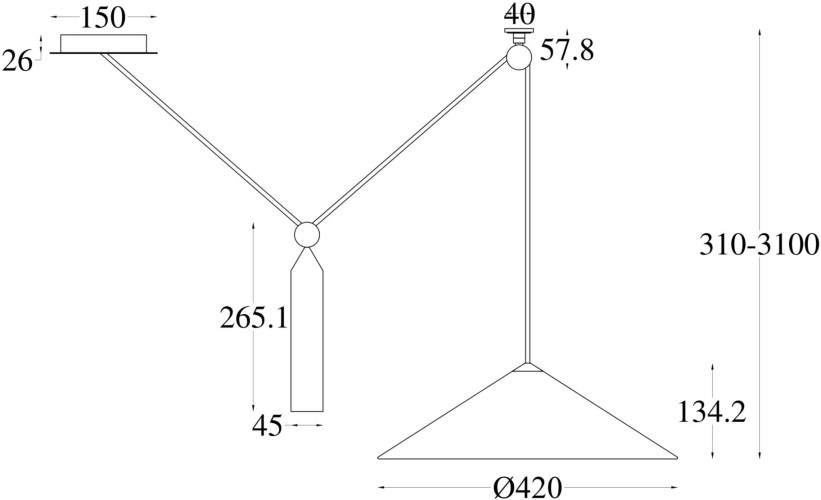 Подвесной светильник Maytoni P080PL-01W