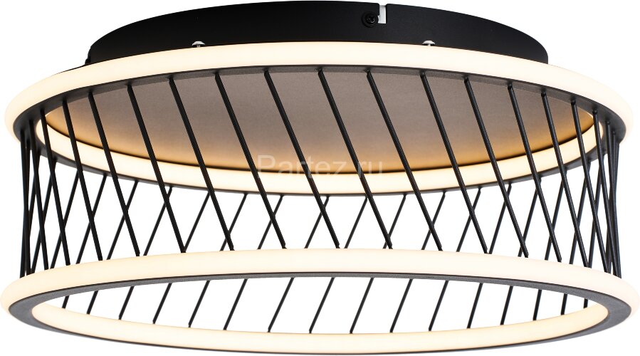 Потолочный светильник F-Promo 4436-2C