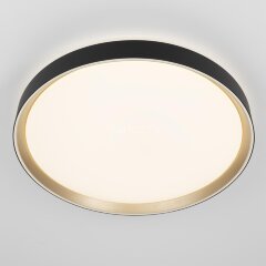 Потолочный светильник Citilux CL751451G