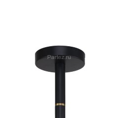 Потолочная люстра Favourite 2766-8P