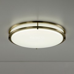 Настенно-потолочный светильник Citilux CL709503N