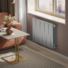 Биметаллический радиатор Royal Thermo PianoForte  500/100-10 (Silver Satin)