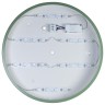 Потолочный светильник Loft It 10002/24 Green