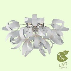Потолочная люстра Lussole Loft GRLSA-5927-09