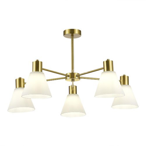 Потолочная люстра Evoluce SLE1561-302-05