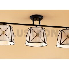 Потолочная люстра Citilux CL409231