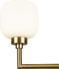 Потолочная люстра Freya FR5373CL-06BS