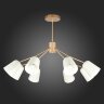 Потолочная люстра Evoluce SLE155902-08