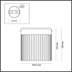 Потолочный светильник Odeon Light 5047/20LC