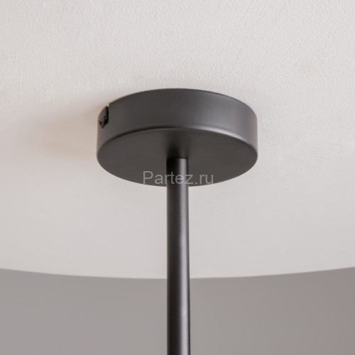 Потолочная люстра Maytoni MOD177PL-04B