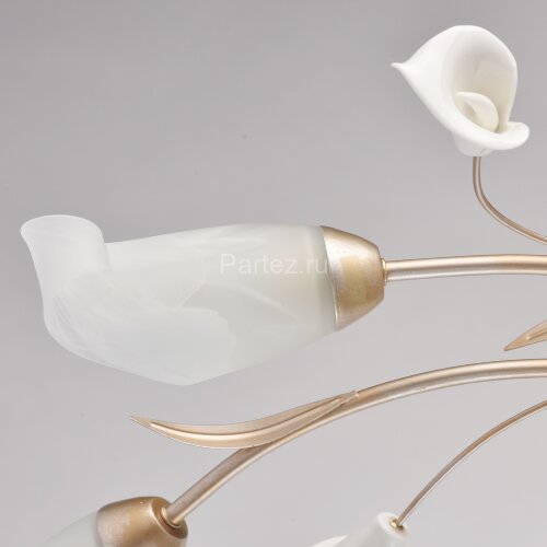 Потолочная люстра MW-Light 242016306