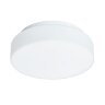 Потолочный светильник Arte Lamp A6812PL-1WH