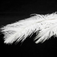 Подвесная люстра Lussole LSP-8601