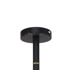 Потолочная люстра Favourite 2766-12P