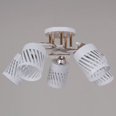 Потолочная люстра Reluce 08235-0.3-05 WT+FG
