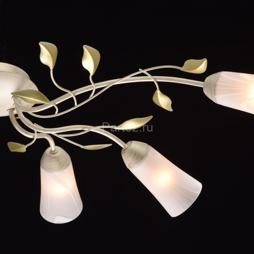 Потолочная люстра MW-Light 242015306