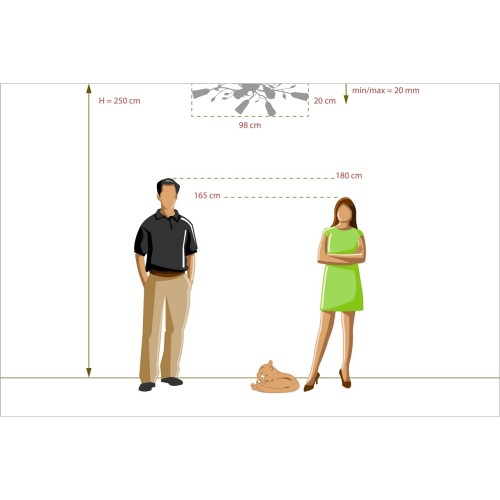 Потолочная люстра MW-Light 242015306