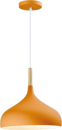 Подвесной светильник Moderli V1294-1P