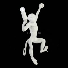 Бра Evoluce SLE115111-01