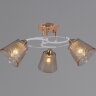 Потолочная люстра Reluce 06003-0.3-03 FG+WT