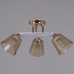 Потолочная люстра Reluce 06003-0.3-03 FG+WT