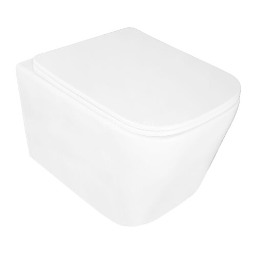 Унитаз подвесной Loranto Delphi 340х485х290 безободковый с системой смыва Tornado в комплекте с быст