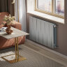 Биметаллический радиатор Royal Thermo PianoForte  500/100-12 (Silver Satin)