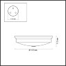 Настенно-потолочный светильник Odeon Light 4824/4C