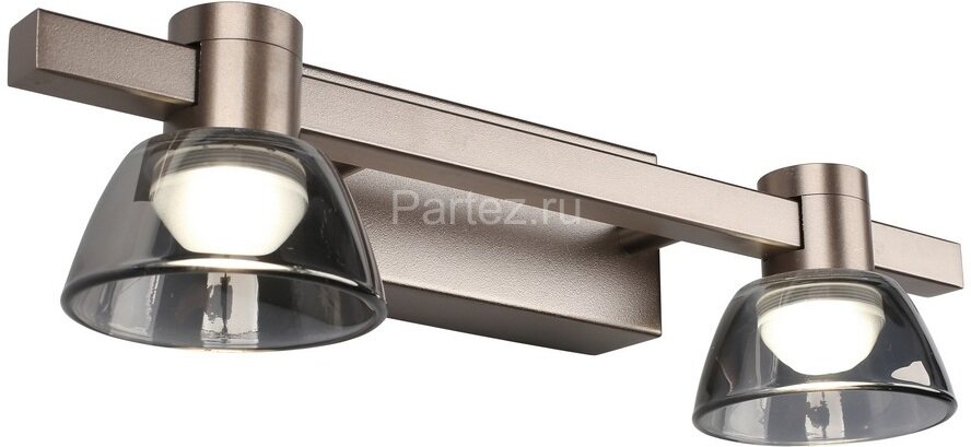 Настенный светильник Aployt APL.788.01.02