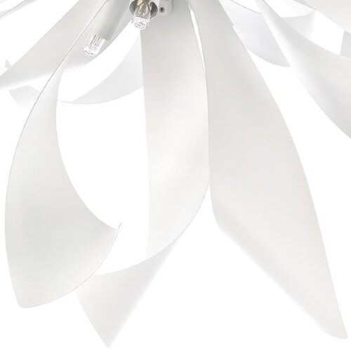 Потолочная люстра Lightstar 754166