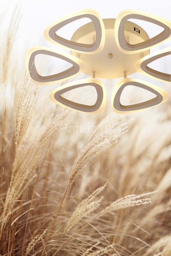 Потолочная люстра DeMarkt 424013006