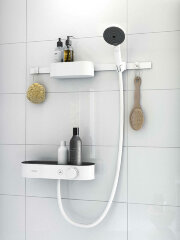 Крючок Hansgrohe WallStoris, Белый (27929700)