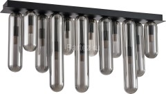 Потолочный светильник Favourite 4454-12P