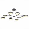 Потолочная люстра Evoluce SLE6003-702-08
