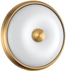 Настенно-потолочный светильник Odeon Light 4956/2