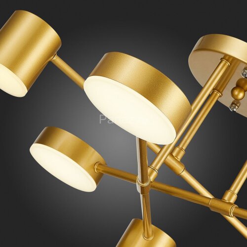 Потолочная люстра Evoluce SLE201022-06