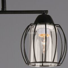 Потолочная люстра Reluce 07579-0.3-02 BK