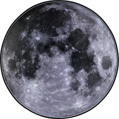 Настенно-потолочный светильник Escada 605/S LED Mars