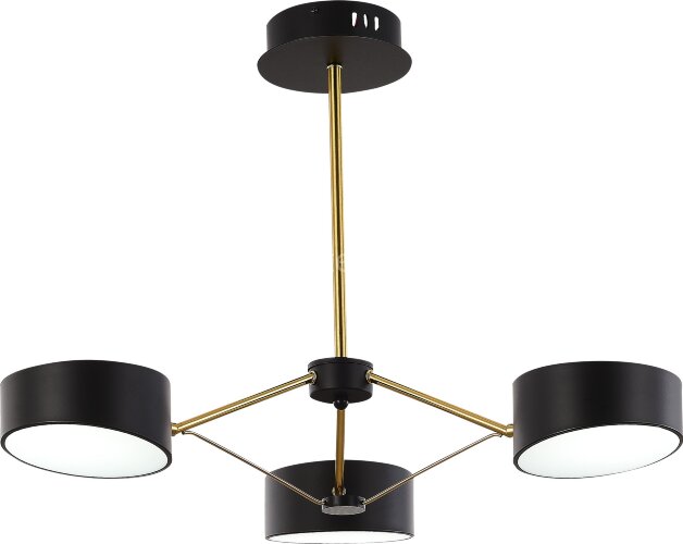 Потолочная люстра Evoluce SLE6005-402-03